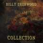 Billy Sherwood: Collection, CD