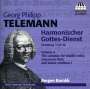 Georg Philipp Telemann: Harmonischer Gottesdienst Vol.4 (Kantaten für mittlere Stimme, Flöte, Bc - Hamburg 1725/26), CD