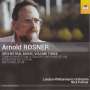 Arnold Rosner: Orchesterwerke Vol.3, CD