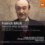 Fridrich Bruk: Orchesterwerke Vol.2, CD