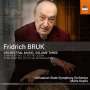 Fridrich Bruk: Orchesterwerke Vol.3, CD