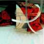 Nikki Sudden: Red Brocade (Remastered & Expanded), CD,CD