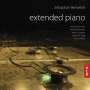 : Sebastian Berweck - Extended Piano, CD