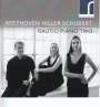 Ferdinand Hiller: Klaviertrio, CD