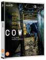 Andrea Arnold: Cow (2021) (Blu-ray) (UK Import), BR