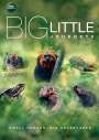 : Big Little Journeys (2023) (UK Import), DVD