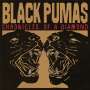 Black Pumas: Chronicles Of A Diamond, CD