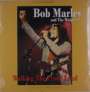 Bob Marley: Walking The Proud Land, LP