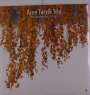 Arne Torvik: Northwestern Songs (180g), LP