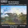 Pehr Henrik Nordgren: Violinkonzert Nr.3, CD