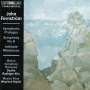 John Fernström: Symphonie Nr.6, CD