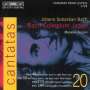 Johann Sebastian Bach: Kantaten Vol.20 (BIS-Edition), CD