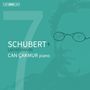 „SCHUBERT+ LACHENMANN CAN ÇAKMUR piano“, grüne Fläche mit stilisiertem Gesicht im Hintergrund.