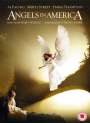 Mike Nichols: Angels In America (UK Import), DVD,DVD
