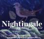: Elin Rombo - Nightingale, CD
