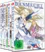 Youhei Suzuki: DanMachi - Sword Oratoria Vol. 1-4 (Collector’s Edition), DVD,DVD,DVD,DVD