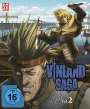 : Vinland Saga - Vol. 2, DVD
