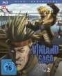 : Vinland Saga - Vol. 2 (Blu-ray), BR
