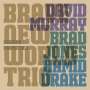 David Murray, Brad Jones & Hamid Drake: Seriana Promothea, CD