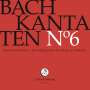 Johann Sebastian Bach: Bach-Kantaten-Edition der Bach-Stiftung St.Gallen - CD 6, CD