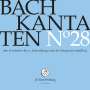 Johann Sebastian Bach: Bach-Kantaten-Edition der Bach-Stiftung St.Gallen - CD 28, CD