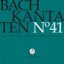 Johann Sebastian Bach: Bach-Kantaten-Edition der Bach-Stiftung St.Gallen - CD 41, CD