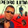 Pedro Lima: Recordar E Viver: Antologia 1 (1976-1987) (Colored Vinyl), LP,LP