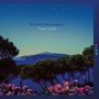 "Daniel Hernandez Pure Land" steht über einer Landschaft mit Bäumen, Blumen und einem entfernten Berg bei Nacht.