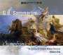 Giovanni Battista Sammartini: Symphonien, CD