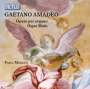 Gaetano Amadeo: Orgelwerke, CD