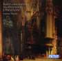 : Rare Nineteenth- and Twentieth-Century Organ Pieces, CD,CD