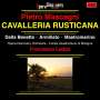 Pietro Mascagni: Cavalleria Rusticana, CD