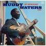 Muddy Waters: At Newport 1960 (180g) (Limited Edition), LP