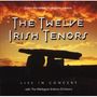 Twelve Irish Tenors: Live In Concert, CD