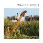 Walter Trout: Common Ground, CD