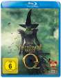 Sam Raimi: Die fantastische Welt von Oz (Blu-ray), BR