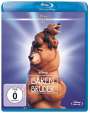 Aaron Blaise: Bärenbrüder (Blu-ray), BR