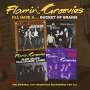 The Flamin' Groovies: I'll Have A Bucket Of Brains: The Original 1972 Rockfield Recordings For U. A., CD