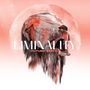 Future Static: Liminality, CD