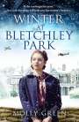 Molly Green: Winter at Bletchley Park, Buch