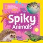 „Spiky Animals“: Ein Igel, ein Kugelfisch, ein Leguan und ein Seestern vor einem bunten Hintergrund.