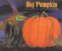 Erica Silverman: Big Pumpkin, Buch