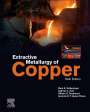 Mark E. Schlesinger (Missouri University of Science and Technology, MO, USA): Extractive Metallurgy of Copper, Buch