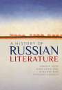 Andrew Kahn: A History of Russian Literature, Buch