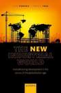 Livio Romano: The New Industrial World, Buch