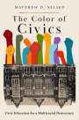 Matthew D. Nelsen: The Color of Civics: Civic Education for a Multiracial Democracy, Buch
