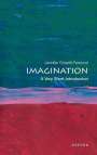 Prof Jennifer Anna Gosetti-Ferencei (Professor and Kurrelmeyer Chair in German and Professor in Philosophy, Professor and Kurrelmeyer Chair in German and Professor in Philosophy, Johns Hopkins University): Imagination: A Very Short Introduction, Buch