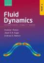 Anatoly Ruban: Fluid Dynamics, Buch