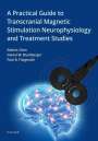 Robert Chen: A Practical Guide to Transcranial Magnetic Stimulation Neurophysiology and Treatment Studies, Buch