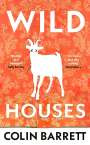 Colin Barrett: Wild Houses, Buch